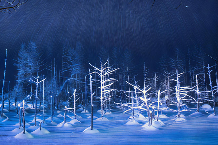 Hokkaido Winter Shikisai no Oka, Blue Pond (Dec.10 - Mar.10) 10:40 am meet at JR Sapporo Station North exit