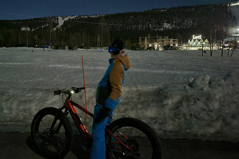 Levi Lapland: Easy E-fatbiking to search Northern Lights