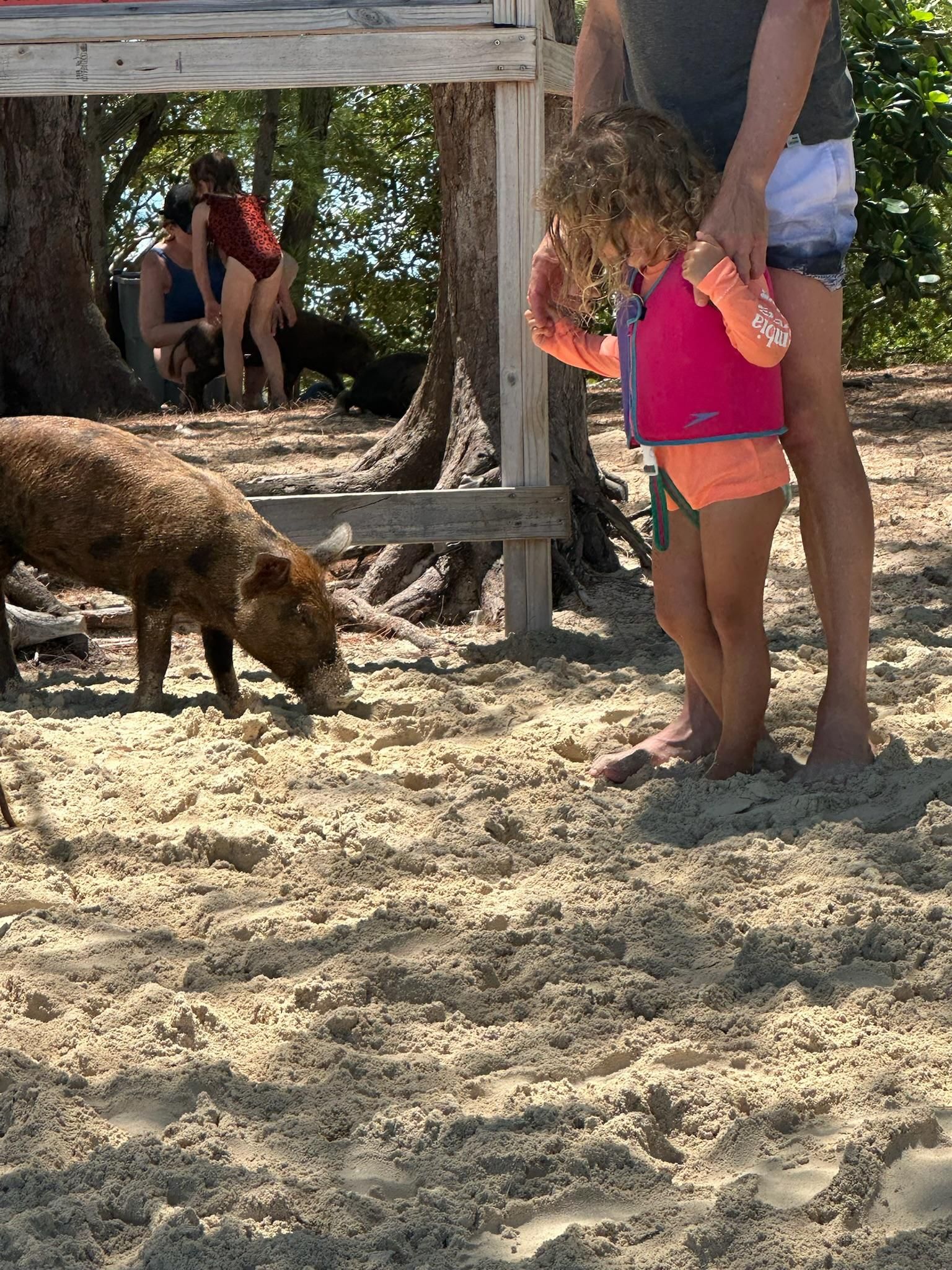 Eleuthera Abenteuer: Schaukeln, Schweine und Riffe