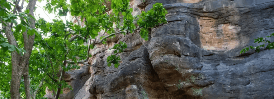 EXCURSION D'UNE JOURNÉE À BHIMBETKA DEPUIS BHOPAL