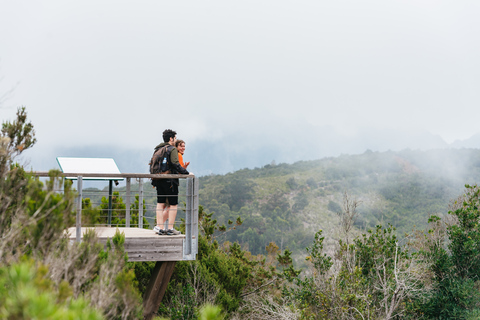 From South Tenerife: La Gomera Island Tour