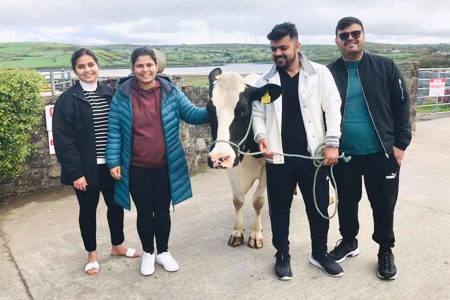 Campview Farm, Ballyshannon: Cuddle a Cow Experience