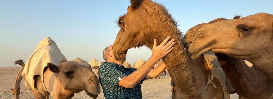 Koweït : visite de la ligne d'horizon de jour et de nuit avec nourriture locale et thé