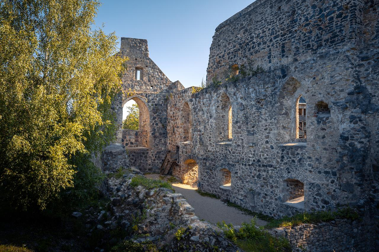 Desde Riga: Excursión en grupo a Sigulda y TuraidaExcursión compartida a Sigulda y Turaida desde Riga