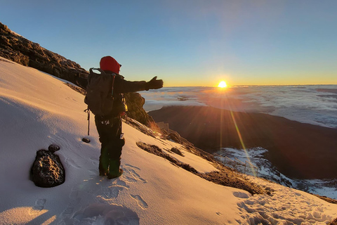 Kilimanjaro: trekking di 8 giorni lungo il percorso Marangu con pernottamento in rifugioKilimanjaro: 8 giorni di trekking sul percorso Marangu con pernottamento in rifugio