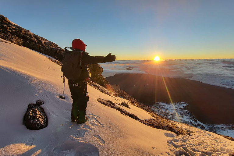 Kilimanjaro: trekking di 8 giorni lungo il percorso Marangu con pernottamento in rifugioKilimanjaro: 8 giorni di trekking sul percorso Marangu con pernottamento in rifugio