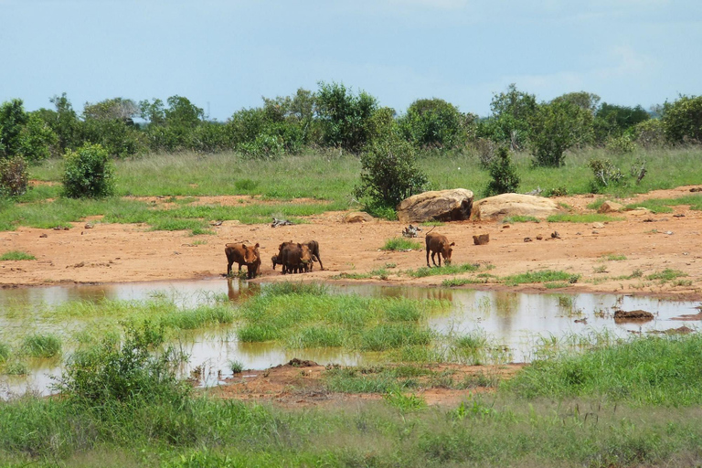 Mombaça/Diani: Safari de 2 dias em Tsavo East e West com estadiaMombaça/Diani: safári de 2 dias em Tsavo East e West com estadia