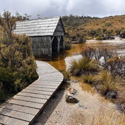 Cradle Mountain Explorer Half Day Tour with Lunch