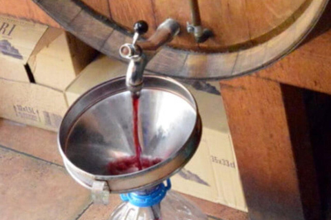 Barcelona: Culinary Backstreets - Bodega's Barrio Tradition