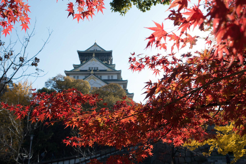 Osaka: Osaka Castle & Samurai History Walking Tour Small Group Tour with Entrance fee
