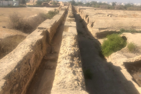 Het Bardo Museum, Oudhna en het Romeinse aquaduct