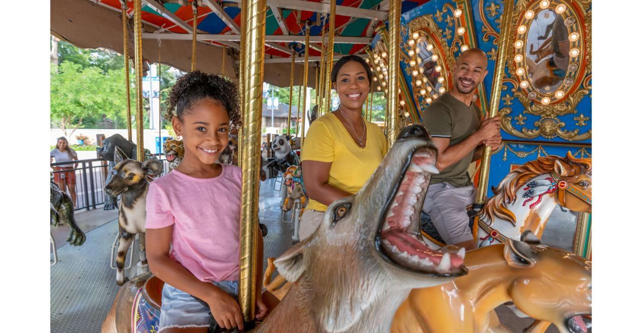 San Antonio Zoo Any Day Ticket photo 18