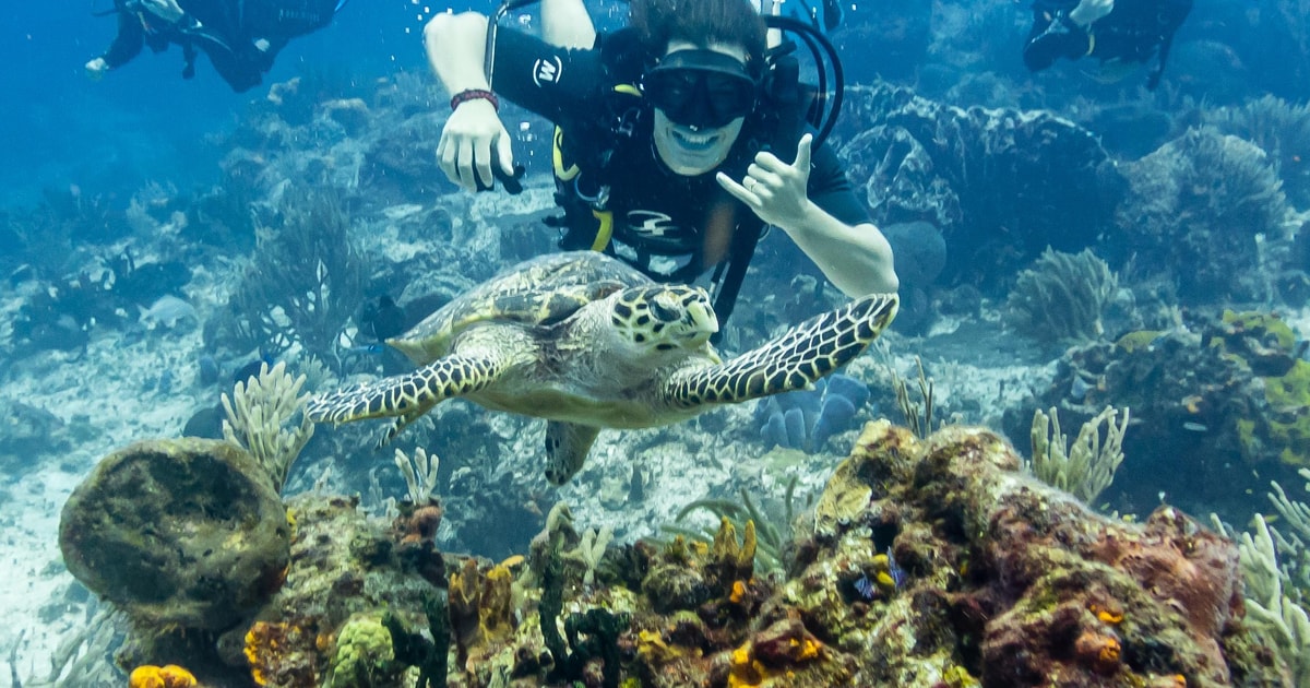 2 Tank Dive in Cozumel’s Marine National Park GetYourGuide