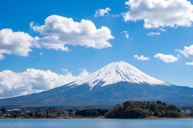 Mount Fuji: Lake Yamanaka Sumo Show (Optional VIP Seating) Mount Fuji: Lake Yamanaka Sumo Show (General ticket)