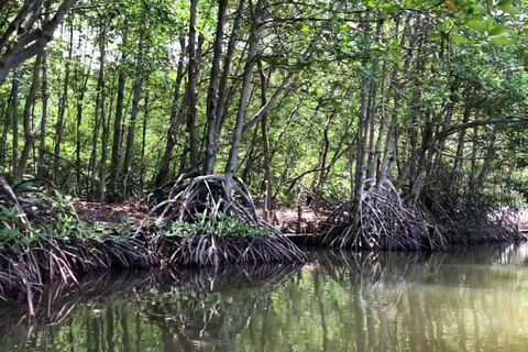 Depuis Ho Chi Minh : Excursion d&#039;une journée à la mangrove de Can Gio et à l&#039;île aux singes