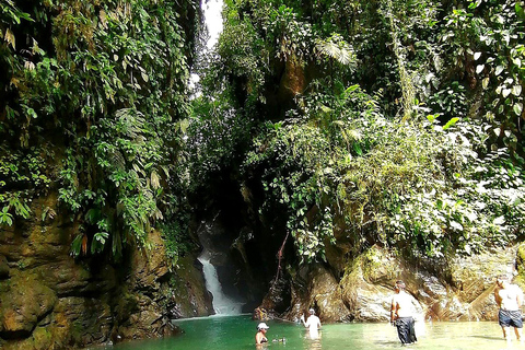 Cali: Pacific Jungle Trek to Hidden Pools & La Sirena Falls