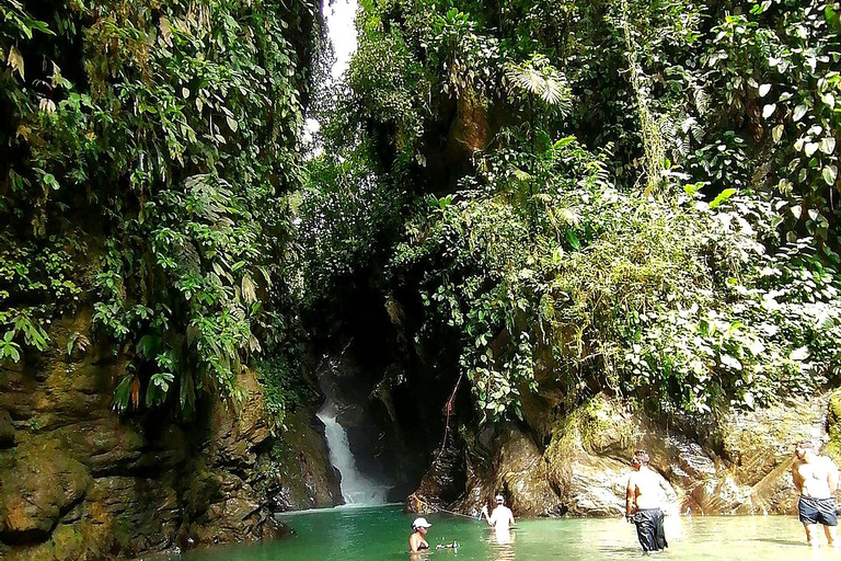 Cali: Pacific Jungle Trek to Hidden Pools & La Sirena Falls