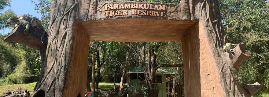 Excursion de 2 jours de Coimbatore à Hill Station et safari animalier