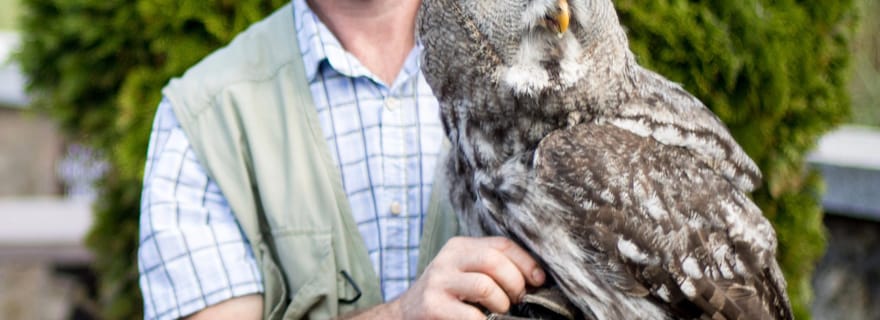 Wexford : expérience avec les oiseaux de proie et entrée au parc patrimonial