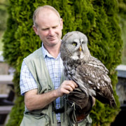 Wexford: Birds of Prey Experience and Heritage Park Entry