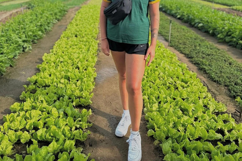 Hanoi Countryside Bike Tour: Rice Fields & Snake Village
