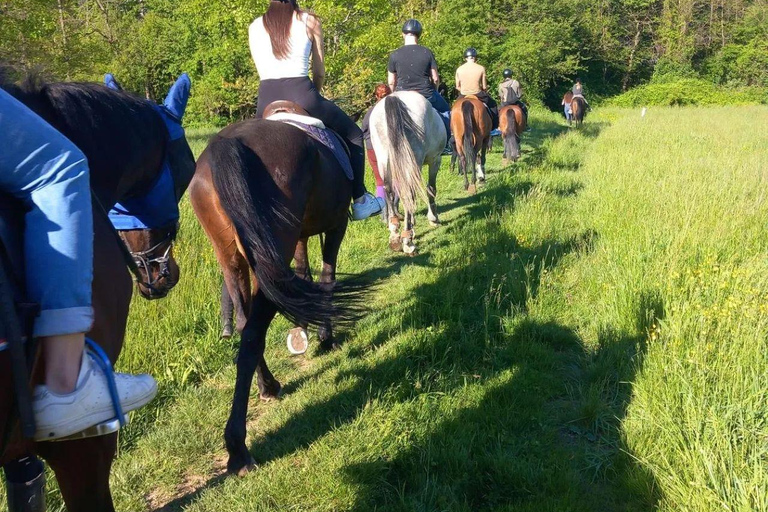 Varese: Horseback Riding through Woodlands and Meadows with Lunch in Fagnano Olona Lunch