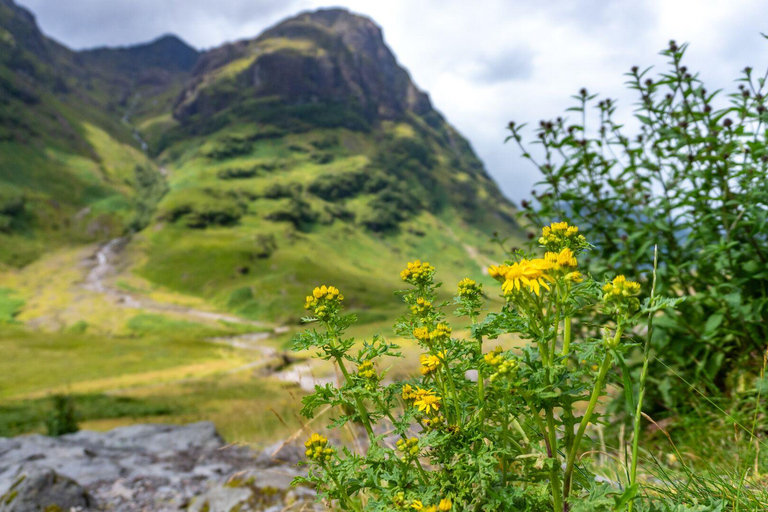 Glasgow : Montagnes, Glens et le monstre du Loch Ness avec déjeuner