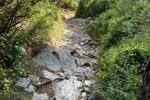 Calanques Ridge Trek with Panoramic Mediterranean Views