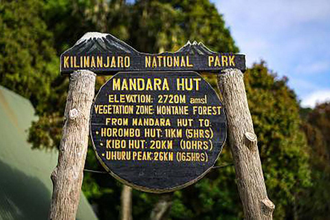 Kilimanjaro in a Day: Unforgettable Marangu Route Adventure