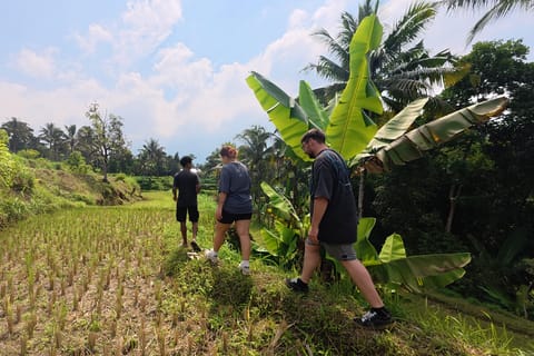 Tetebatu: Rice Terraces, Hidden Waterfall & Countryside Hike - Image 2