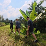 Tetebatu: Rice Terraces, Hidden Waterfall & Countryside Hike