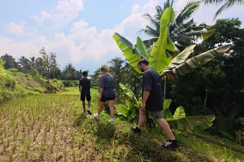 Tetebatu: Rice Terraces, Hidden Waterfall & Countryside Hike - Image 3