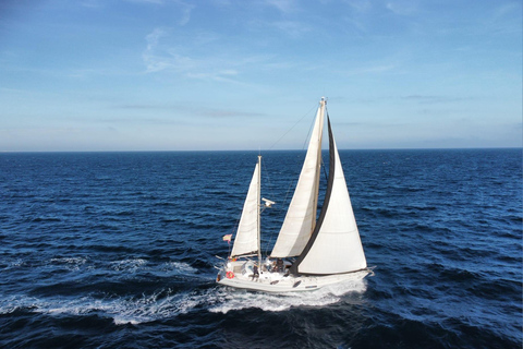 Santa Pola: Sailboat trips to Tabarca, snorkeling, and sunset with tasting