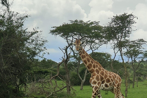 4 Days Murchison Falls National Park and Kampala city tour