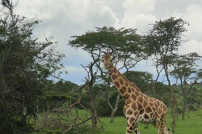 4 Days Murchison Falls National Park and Kampala city tour
