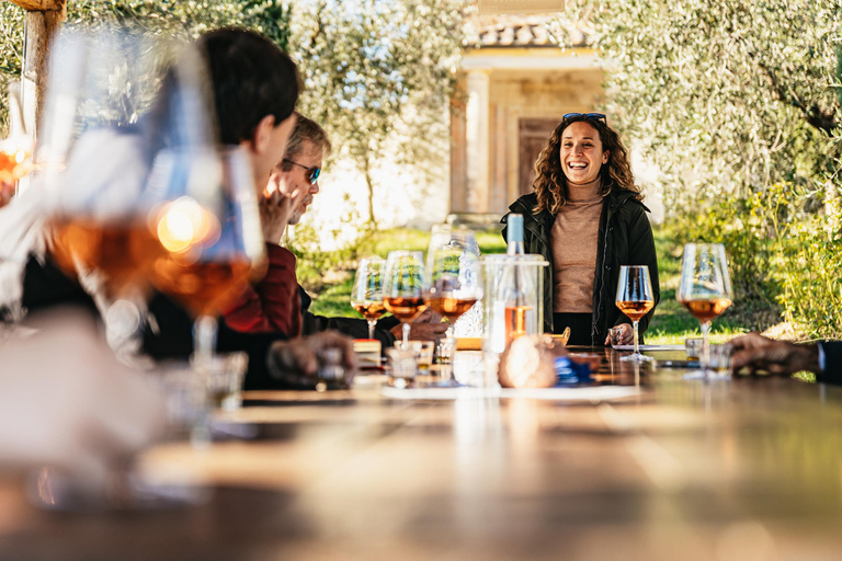 Da Firenze: Safari con degustazione di vini e cibi del Chianti