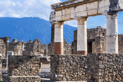 Naples Port: Mount Vesuvius and Pompeii Tour with Transfers