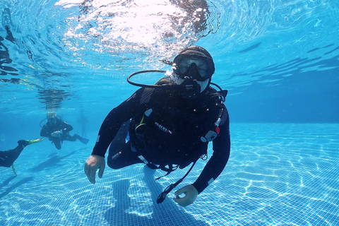 Madeira, Ponta São Lourenço: Scuba Diving for BeginnersPool Option Only - Ponta de São Lourenço