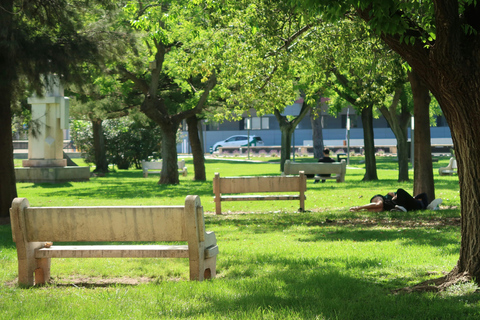 Valencia: Private Lifestyle & Relocation Tour with Transport
