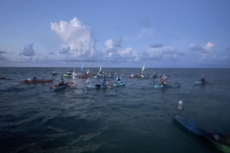 Key West: Kajaktocht bij zonsopgangTandum