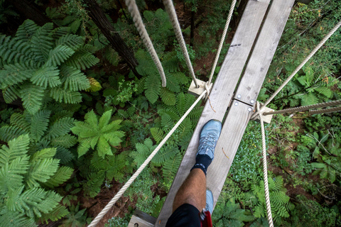 Rotorua: Redwoods Altitude High Ropes AdventureRotorua: aventura em cordas altas de altitude em Redwoods