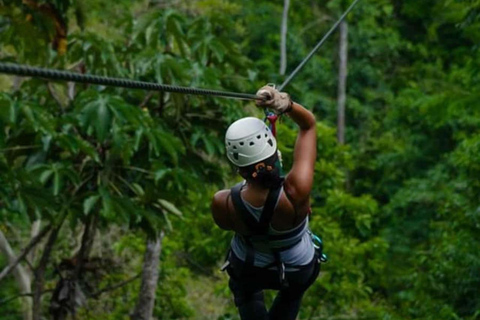 Zanzibar: Masingini Forest, Monkeys & Zipline adventure Masingini Forest, Monkeys & Zipline adventure & transfer