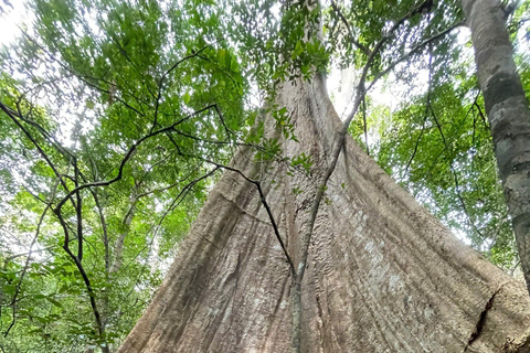 From Ho Chi Minh: Cat Tien National Park 2-Day Tour