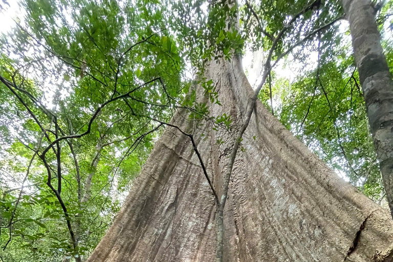 From Ho Chi Minh: Cat Tien National Park 2-Day Tour