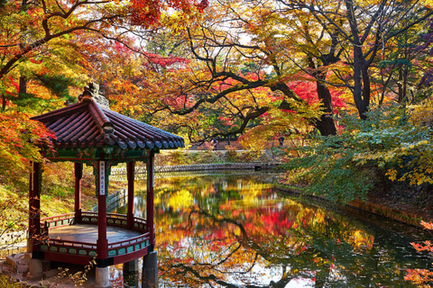 Seoul: Customized Private Walking Tour with a Local Guide 4-Hour Walking Tour