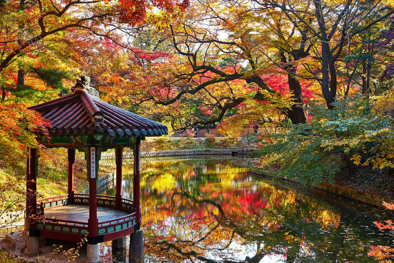 Seoul: Customized Private Walking Tour with a Local Guide 4-Hour Walking Tour
