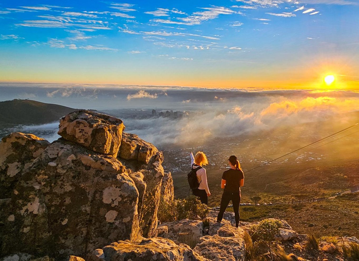 Cape Town: Vandring på Taffelbjerget med en ekspertguide