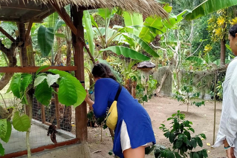 Ubud Adventure: Buggy Ride, Water Rafting, Coffee Plantation ubud; UTV buggy only without transportasi