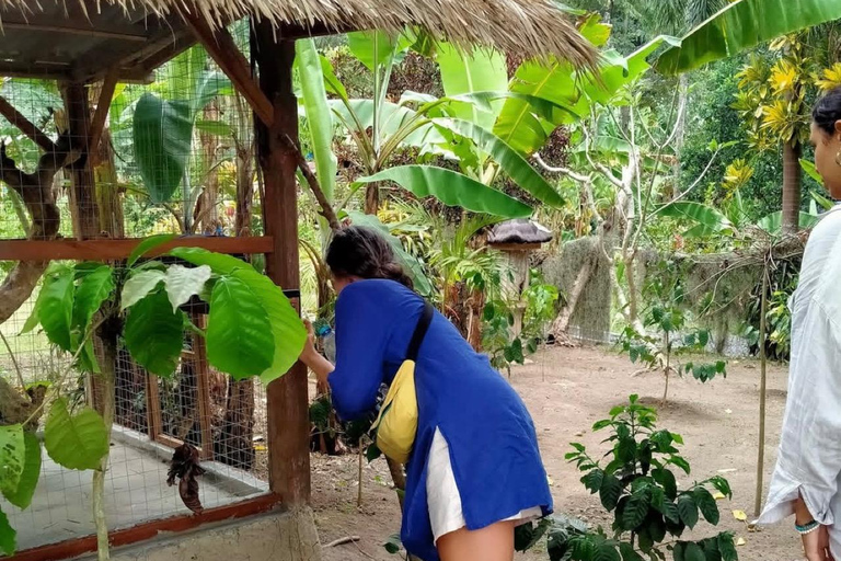 Ubud Adventure: Buggy Ride, Water Rafting, Coffee Plantation ubud; UTV buggy only without transportasi