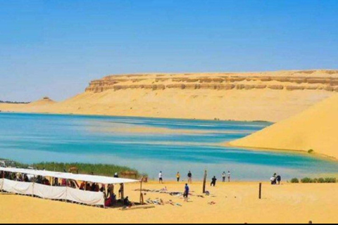 From Cairo: 4x4 Desert Safari, Waterfalls & Magic Lake Shared Tour: Wadi El Rayan, Magic Lake & Lake Qarun, Jeep